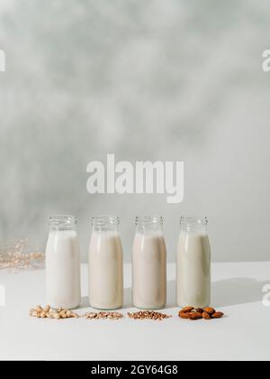 Verschiedene Arten von nicht-milchiger veganer Milch in Glasflaschen auf weißer Tischplatte mit floralen Schatten auf Wandhintergrund. Cashew, Hafer, Buchweizen, Mandelmilch AS Stockfoto