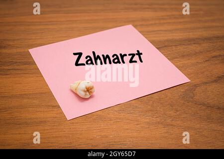 Weisheitszahn auf rosa Papier mit deutschem Wort Zahnarzt auf Holztisch Stockfoto