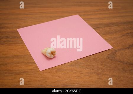 Weisheitszahn auf rosa Papier mit freiem Platz für Text Stockfoto