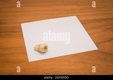 Weisheitszahn auf weißem Papier und Holzbrett Nahaufnahme Stockfoto