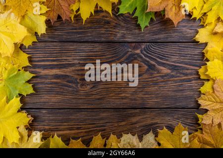Gelber Herbst Ahornblatt rechteckigen Rahmen auf gebürstetem Holztisch Hintergrund Stockfoto