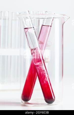 Testflaschen mit Farbproben auf hellgrauem Hintergrund Stockfoto