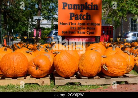 NEW ORLEANS, LA, USA - 6. OKTOBER 2021: Kürbisse zum Verkauf im Pumpkin Patch auf der Carrollton Avenue Stockfoto