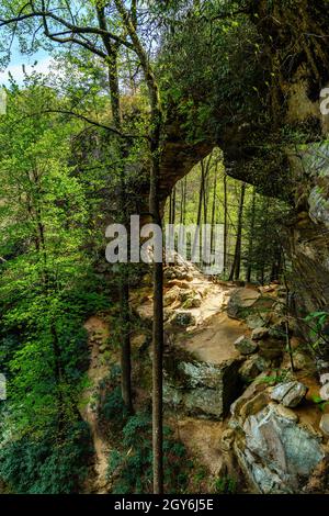 Blick auf den Grays Arch in der Red River Gorge in Kentucky Stockfoto