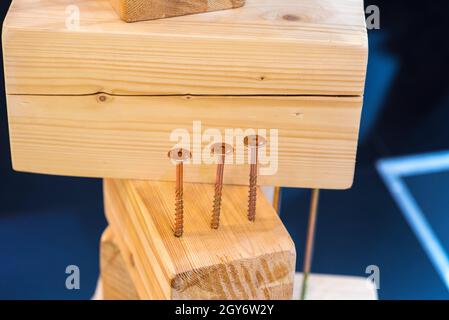 Baumschrauben in einer Holzoberfläche, die in einer Reihe stehen Stockfoto