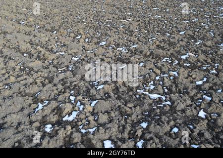 Schmelzender Schnee auf gepflügten Boden. Frühling auf gepflügten Feld. Stockfoto