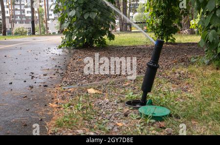 Rasenbewässerungssystem in einem grünen Park. Bei heißem Wetter den Rasen mit Wasser besprühen. Automatischer Sprinkler. Die automatische Bewässerung Sprinkler hea Stockfoto