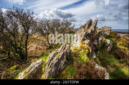 Roc'h Trevezel-Gipfel in der Bretagne, Nordwestfrankreich, Europa Stockfoto