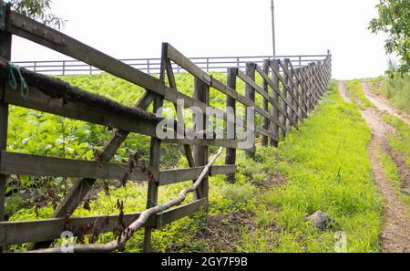 Authentischer Holzzaun im Dorf. Handgefertigter Holzzaun aus Brettern. Alter Zaun, ländliche Landschaft. Gut ausgetretter Weg entlang des Zauns im Fiel Stockfoto