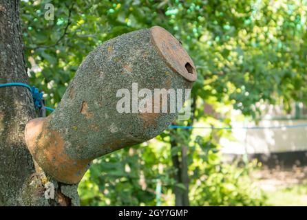 Der alte Tonkrug auf dem Ast des Baumes, das ukrainische Dorf. Ein Topf auf dem Land. Antikes traditionelles handgemachtes Geschirr. Keramikkrug mit Rissen, schrubben an Stockfoto