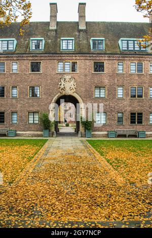 Herbstgelbe Blätter auf Gras vor einem Gebäude im alten Stil Stockfoto