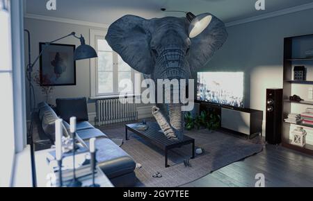 Elefant im Zimmer, Konzept der ungelösten Probleme. 3d-Rendering. Stockfoto
