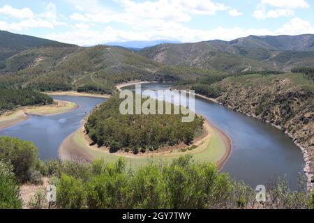 Schöne Mäander Fluss Kurven Wasserlandschaft Natur Amplitude Stockfoto