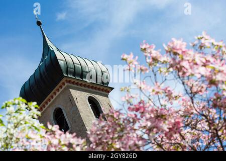 Glockenturm einer katholischen Kirche gegen den blauen Himmel mit einigen Wolken und blühenden Bäumen Stockfoto