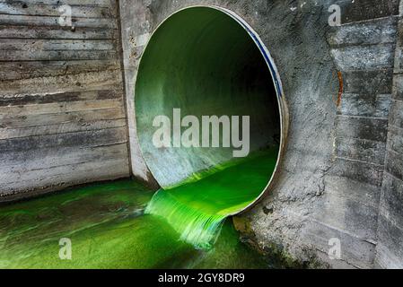 Hellgrün verschmutztes Abwasser, das durch ein Entwässerungsrohr fließt, das durch eine Betonwand in einem ökologischen und ökologischen Konzept austritt Stockfoto