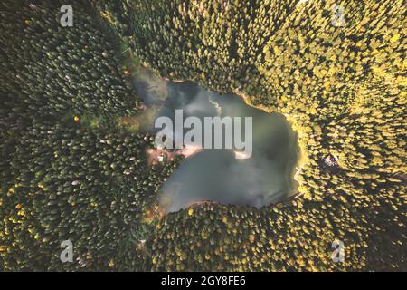 Luftaufnahme des wilden Synevir-Sees in den Karpaten in der Ukraine. Nebliger See im Sommerherbstwald. Landschaftsfotografie Stockfoto