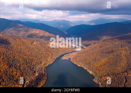 Luftaufnahme auf See mit türkisfarbenem Wasser in den Karpaten. Herbstwald mit Orangenbäumen an der Küste. Terebland-Ritske Stausee (Vilshanske) am Terebland-Fluss, Transkarpatien, Ukraine Stockfoto