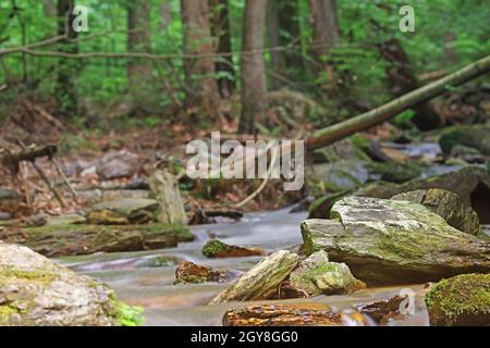 Seidige Wirkung von Kaskaden und Wellen von fließendem Wasser in einem Bach im Park Resovske vodopady. Tschechische Republik. Stockfoto