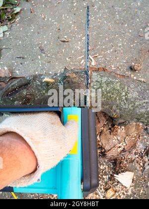 Point-of-View-Aufnahme des Sägens von Baumgliedern mit elektrischer Kettensäge im Hinterhof Stockfoto