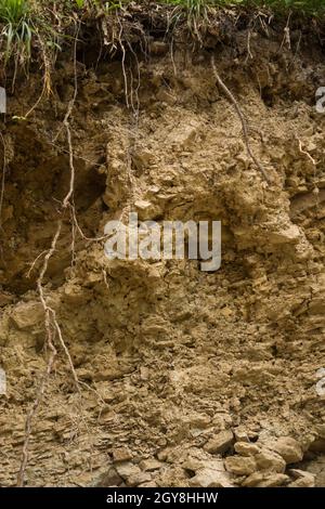 Sichtbare Schichten von lithosolartigen Böden in den Bieszczady-Bergen Stockfoto