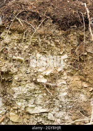 Sichtbare Schichten von lithosolartigen Böden in den Bieszczady-Bergen Stockfoto