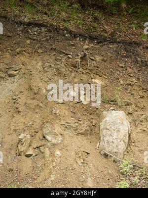 Sichtbare Schichten von lithosolartigen Böden in den Bieszczady-Bergen Stockfoto
