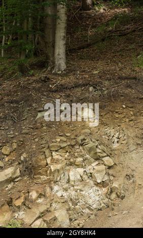 Sichtbare Schichten von lithosolartigen Böden in den Bieszczady-Bergen Stockfoto