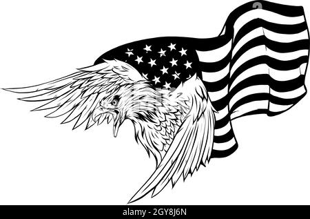 Erhabung amerikanischer Adler gegen US-Flagge und weißen Hintergrund. Stockfoto