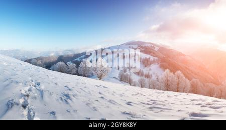 Erstaunliche Winterlandschaft mit verschneiten Bäumen auf einem Bergtal. Rosafarbener Sonnenaufgangshimmel leuchtet auf dem Hintergrund. Landschaftsfotografie Stockfoto