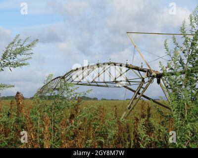 Schönes Bewässerungssystem auf dem Feld, um künstlich Wasser genannt Pivot Stockfoto