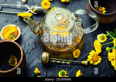 Heilender Blumentee. Teekannen mit Chrysantheme Blumen Tee. Kräutermedizin. Tee zubereiten Stockfoto