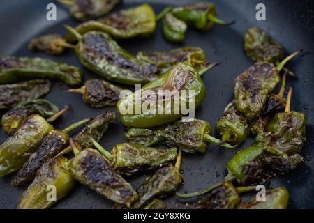 Frisch gebratene grüne Pimientos in der Pfanne. Pimientos de padron. Nahaufnahme mit kurzer Schärfentiefe. Stockfoto