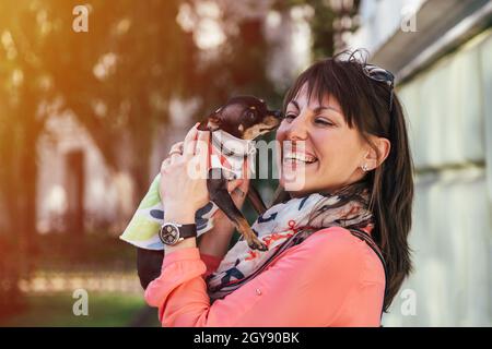 Glückliche junge kaukasische Frau, die ihren kleinen Hund, Russian Toy oder Russian Toy Terrier, in Herbstanzug gekleidet hält. Liebe Haustiere Konzept Stockfoto