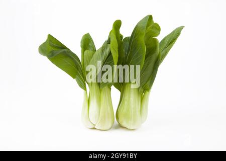 Junge frische Pak Choi Gemüse auf weißem Hintergrund Stockfoto