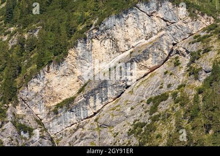 Felswand und Kiefernwald der Dolomiten vor dem Pragser Wildsee oder Pragser Pragser See, Italienische Alpen, Trentino-Südtirol, Italien, Europa. Stockfoto