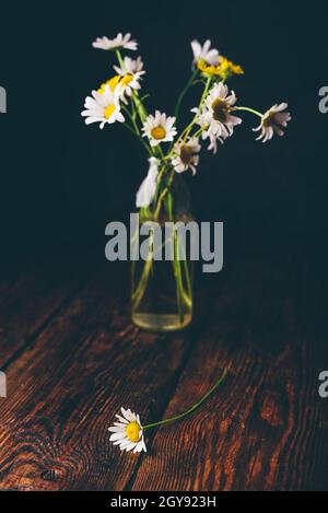 Kleiner Strauß wilder Kamillenblumen in Glasvase auf Holztisch Stockfoto