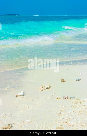 Farbverlauf auf den Sandbankinseln Madivaru und Finolhu im Rasdhoo Atoll Malediven. Stockfoto