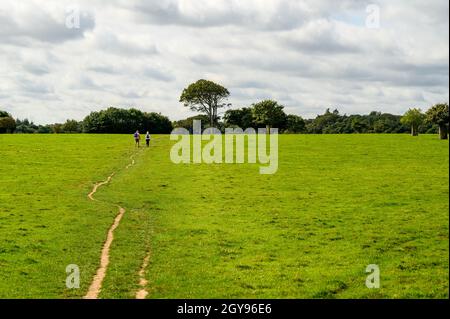 Zwei Personen gehen auf einem öffentlichen Fußweg durch die Parklandschaft der Felbrigg Hall, Norfolk, England. Stockfoto