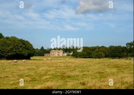 Blick auf Felbrigg Hall in der Ferne über Weidefelder mit Schafweiden, Norfolk, England, fotografiert von einem öffentlichen Fußweg. Stockfoto