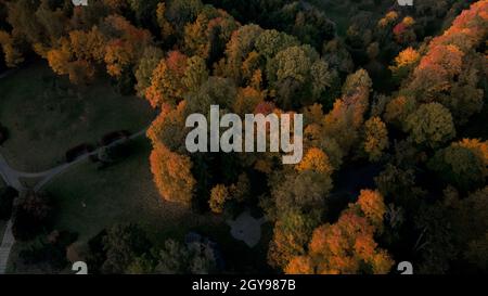 Flug über den Herbstpark. Bäume mit gelben Herbstblättern sind sichtbar. Luftaufnahmen. Stockfoto