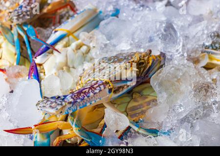 Krabben Hummer und andere ekelhafte Meeresfrüchte Thai-Küche auf dem Bangrak-Markt auf Koh Samui in Thailand. Stockfoto