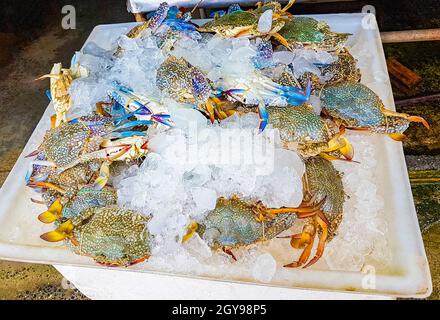 Krabben Hummer und andere ekelhafte Meeresfrüchte Thai-Küche auf dem Bangrak-Markt auf Koh Samui in Thailand. Stockfoto