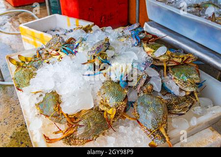 Krabben Hummer und andere ekelhafte Meeresfrüchte Thai-Küche auf dem Bangrak-Markt auf Koh Samui in Thailand. Stockfoto