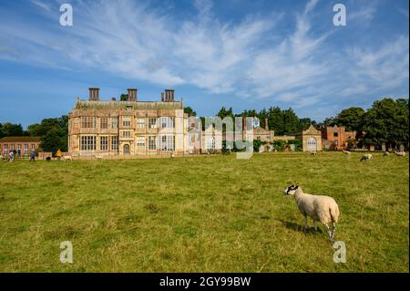 Blick auf die Felbrigg Hall über Weidefelder mit weidenden Schafen, Norfolk, England, fotografiert von einem öffentlichen Fußweg. Stockfoto