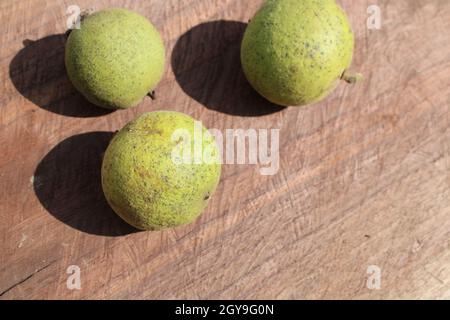 Drei schwarze Walnussfrüchte auf einer schwarzen Walnussholzplatte Stockfoto