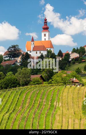 Stadt Straden und Weinberge in der Steiermark, Österreich Stockfoto