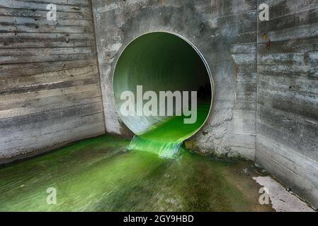 Hellgrün verschmutztes Abwasser, das durch ein Entwässerungsrohr fließt, das durch eine Betonwand in einem ökologischen und ökologischen Konzept austritt Stockfoto