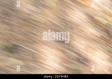 Hintergrund aus beigefarbenen Streifen und unscharfen dunklen und hellen Bereichen Stockfoto