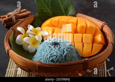 Mango und klebriger Reis, süßes thailändisches Dessert, gefärbt mit Schmetterlingsblüten auf dunklem Hintergrund Stockfoto