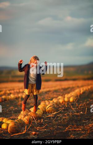 Mädchen in dunkelblauem Mantel und orangefarbenem Rock springt bei Sonnenuntergang auf Kürbisse auf dem Feld. Halloween. Schöne Landschaft in Ungarn Stockfoto